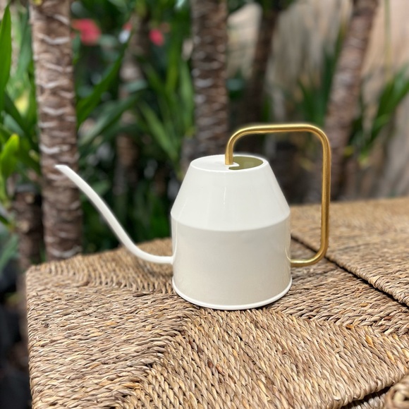 Watering Can🪴💦 Ivory and Gold 30oz Watering Can Maria Seipel VATTENKRASSE Ikea - Picture 4 of 12